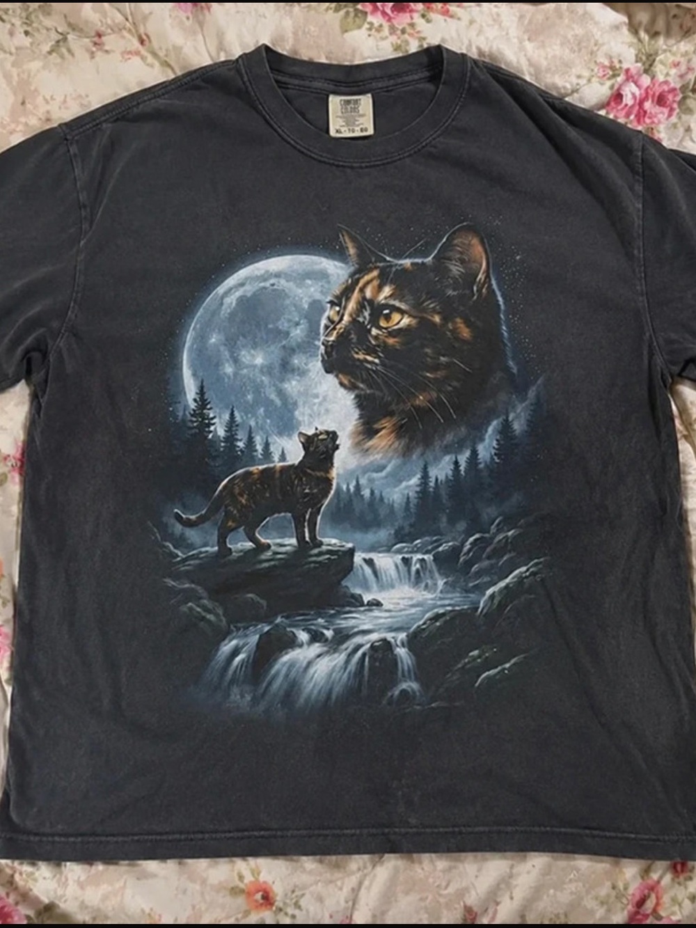 Black Cat Moon Forest